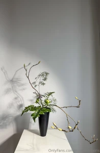 Taking a moment to appreciate the subtlety of simplicity today