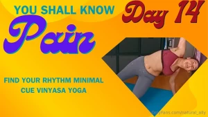 Unlock your potential a vinyasa flow session you shall know pain day