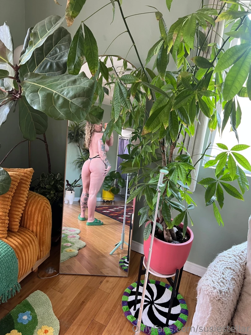 Susiestellar part 27 
