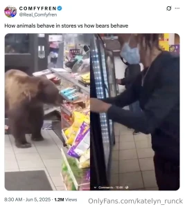 One is here for snacks the other is here for chaos