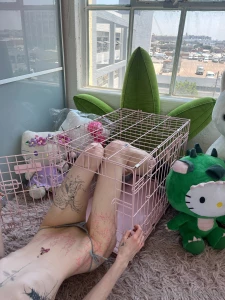 Meow 3 i want a wishlist so u guys can buy me cute lil things that