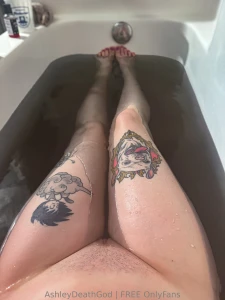 Dumb bitch post p part 3