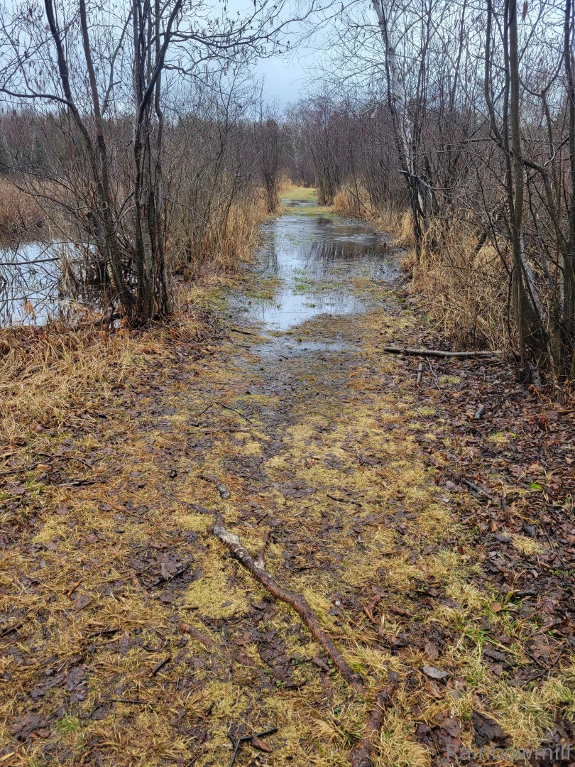 Nikkisrainbow part 57726 