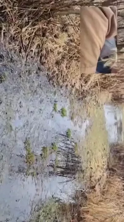 Nikkisrainbow part 57728 