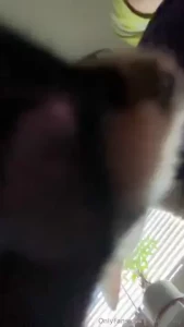 002 wanted to say hi she 1000 took this video have a nice monday