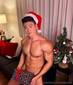 Merry christmas and happy holidays claim your present 50 off no ppv no