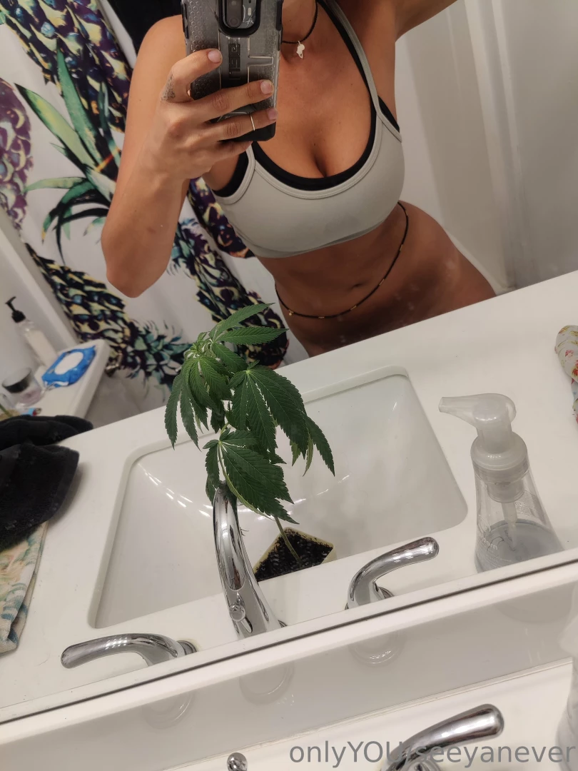 Seeyanever part 57798 