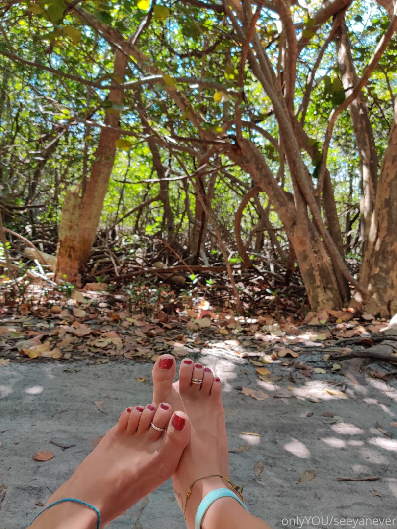 Seeyanever part 57878 