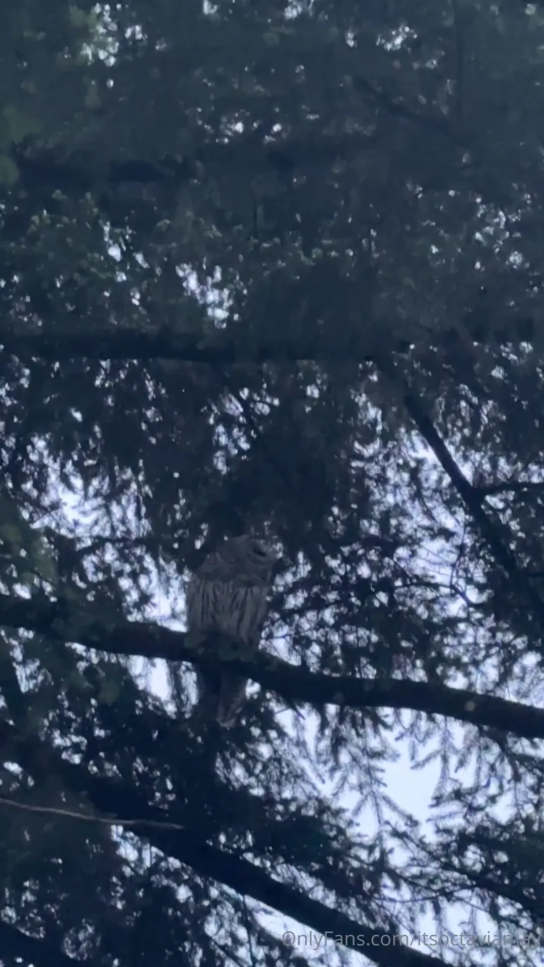 Saw this sweet baby out my bedroom window and had to go say hello 