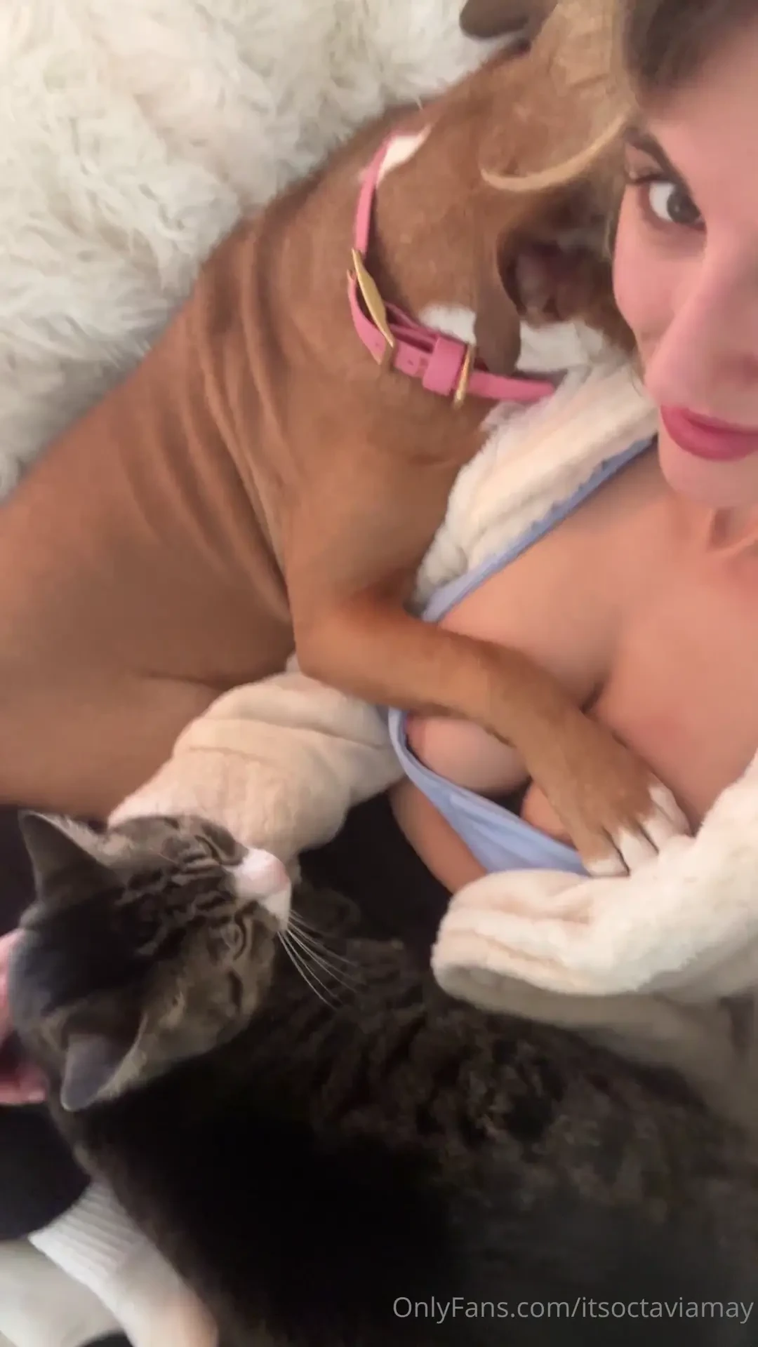 Titties kitties and pitties oh my 