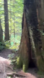 When i say i live in the forest- i mean it literally part 1