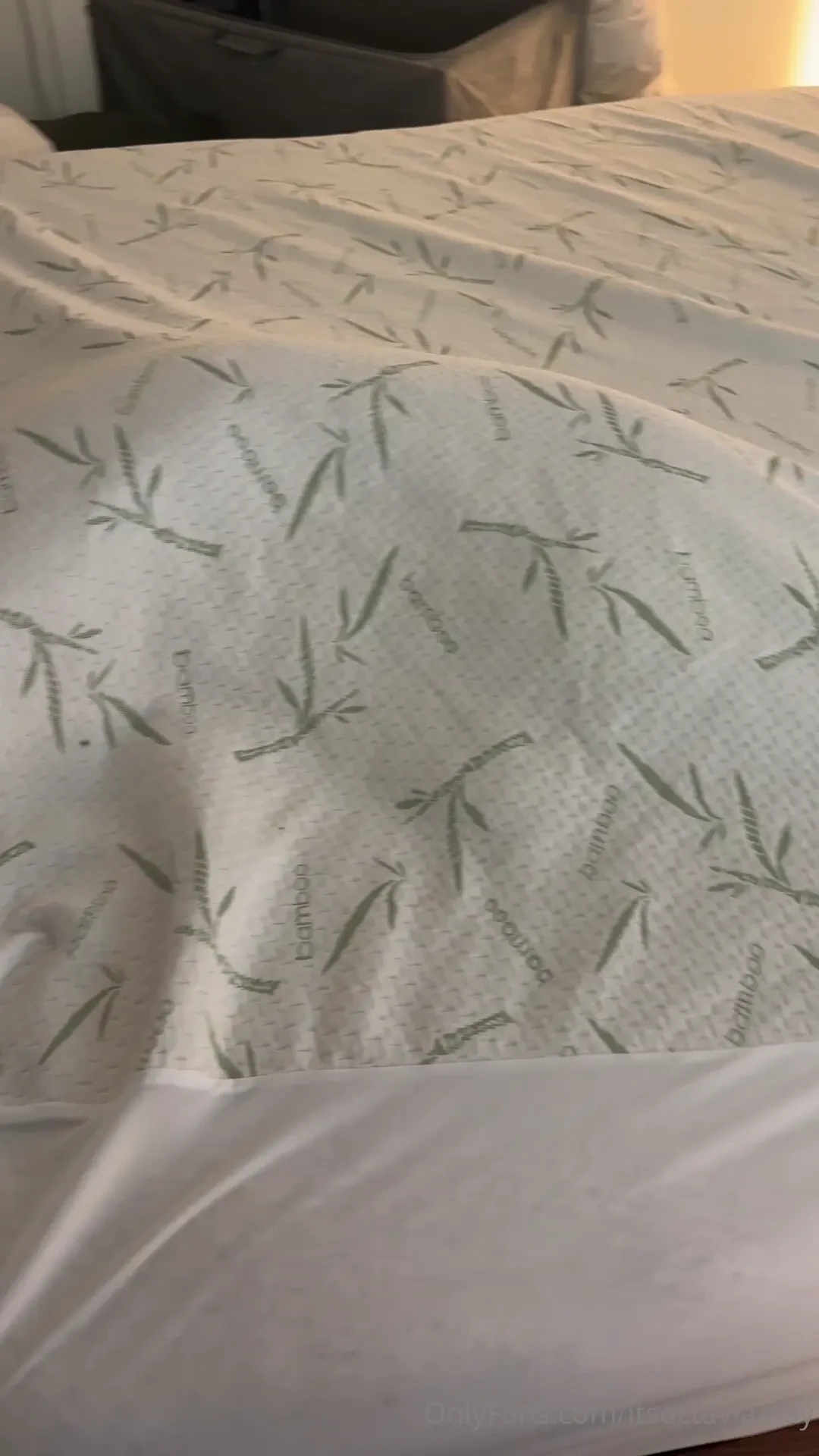 I ve played this game with zeppy since she was a puppy literally every 