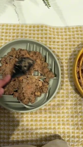 Do this if you have a high drive dog a working breed or shortly before