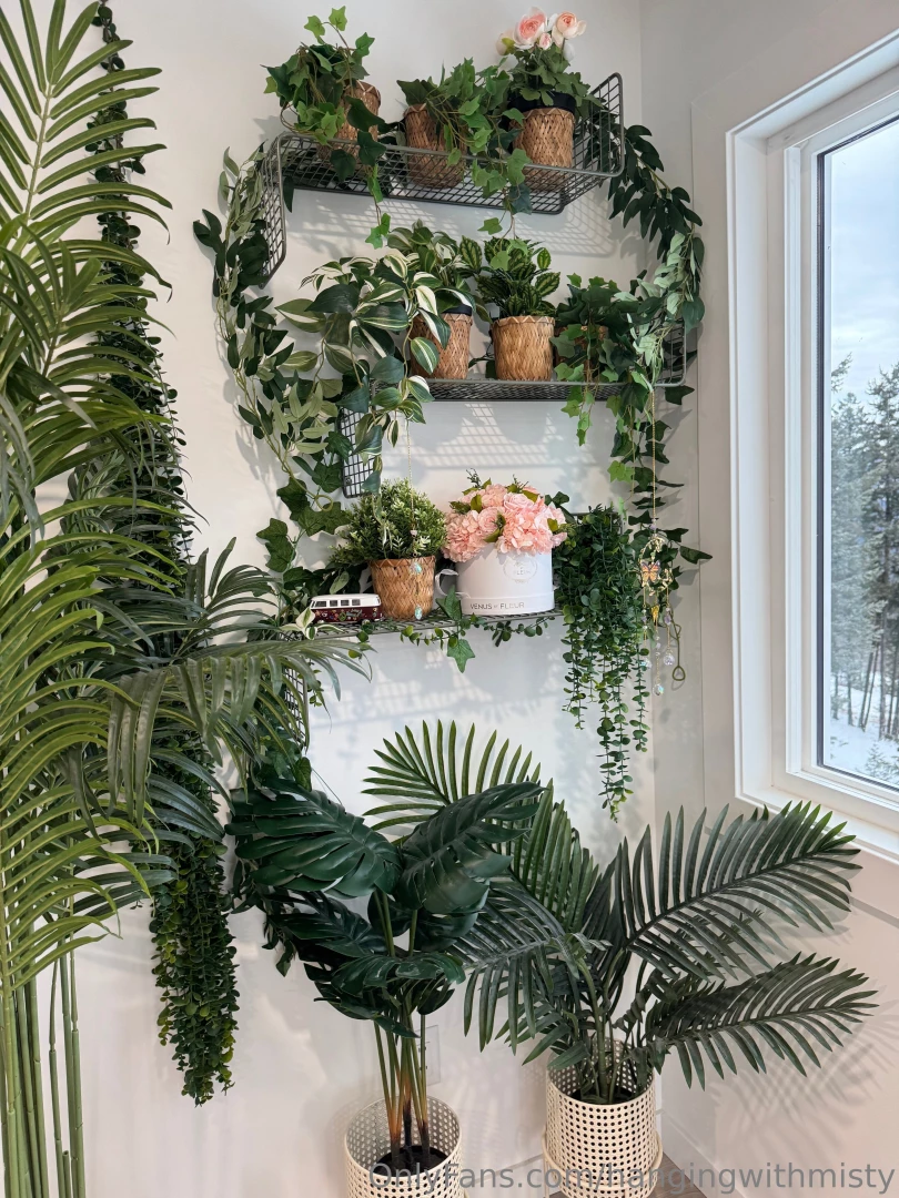 Spent the day decorating my plant room part 1 