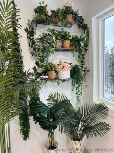 Spent the day decorating my plant room part 1
