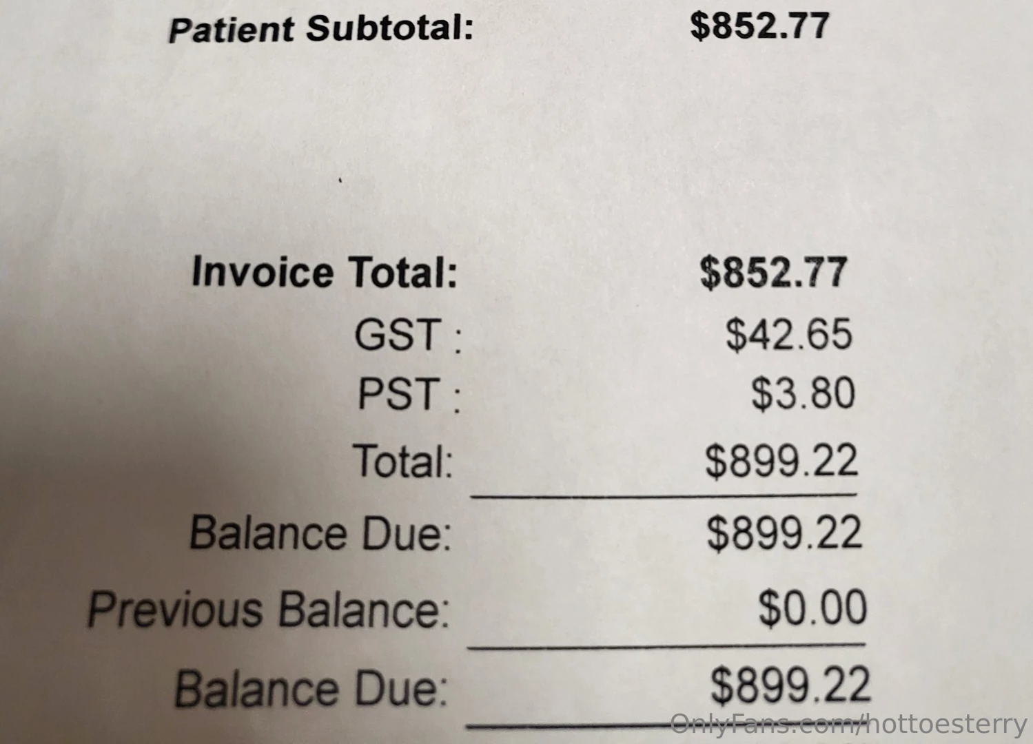 I have a few fur baby s and love them terribly one of them had to be 