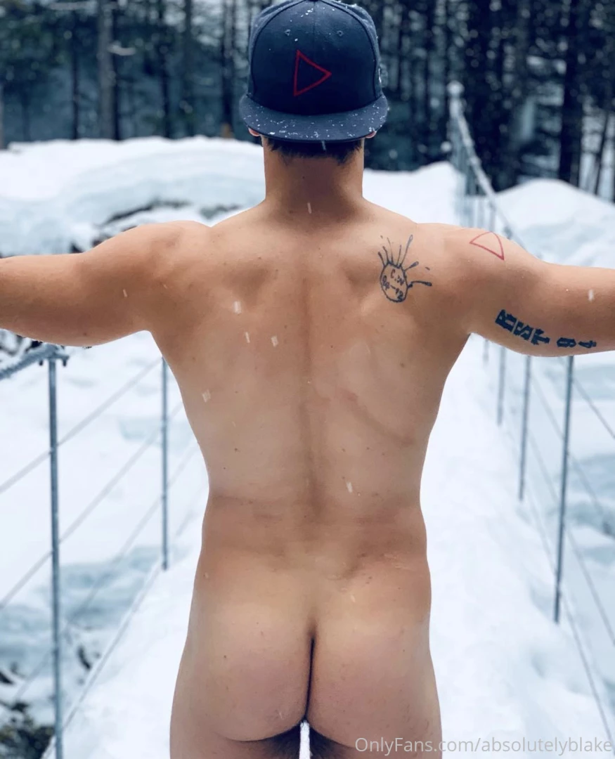 Absolutelyblake part 62371 