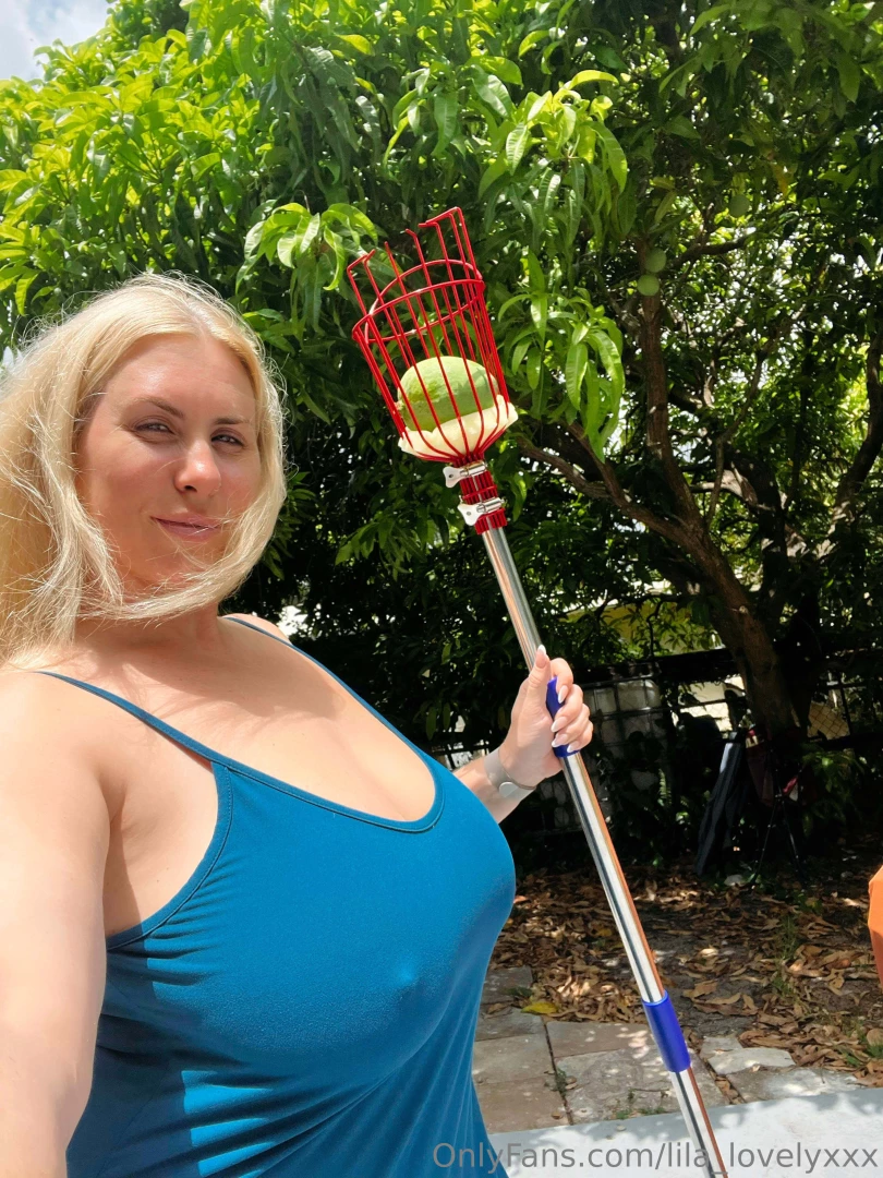 Picking mango from my tree 