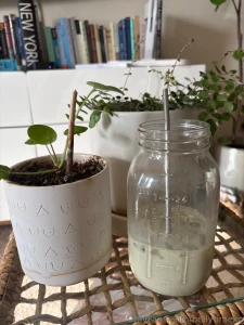 When its so good it deserves a photo shoot