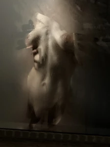 Dans mon jardin secret part 3