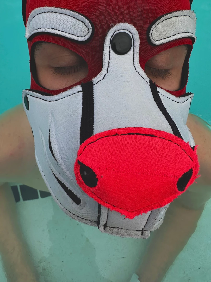 Coming in for the sniff part 6 