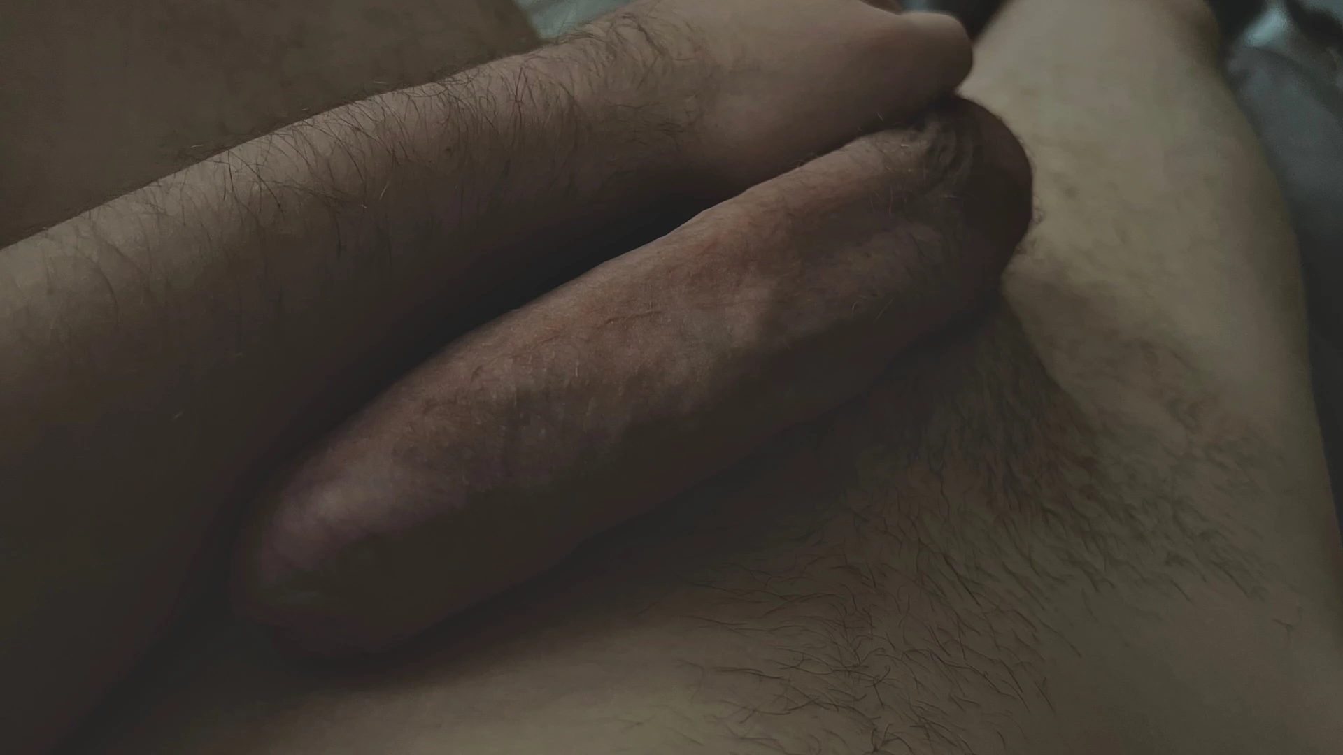 Evatheroo part 58499 