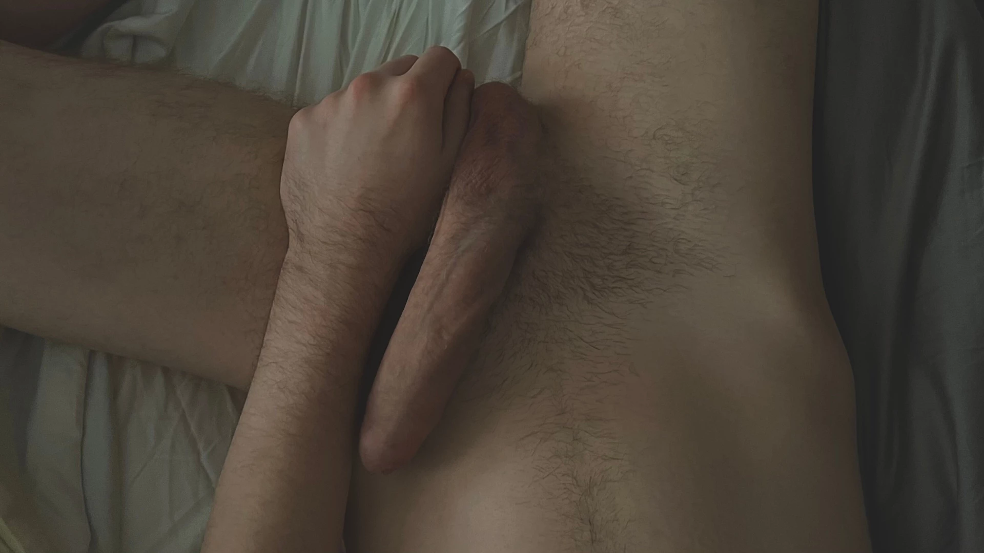 Evatheroo part 58501 