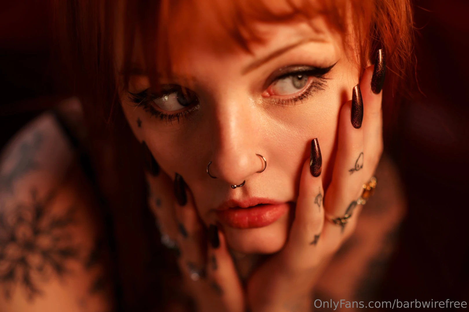 My other page barbwirefindomme has nearly 18 000 posts waiting for you part 1 