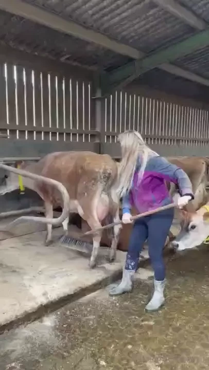 The question is am i missing this 