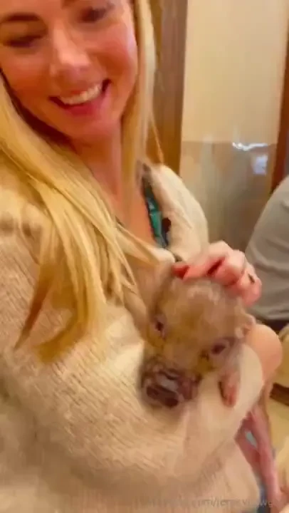 Where there are animals i am there 