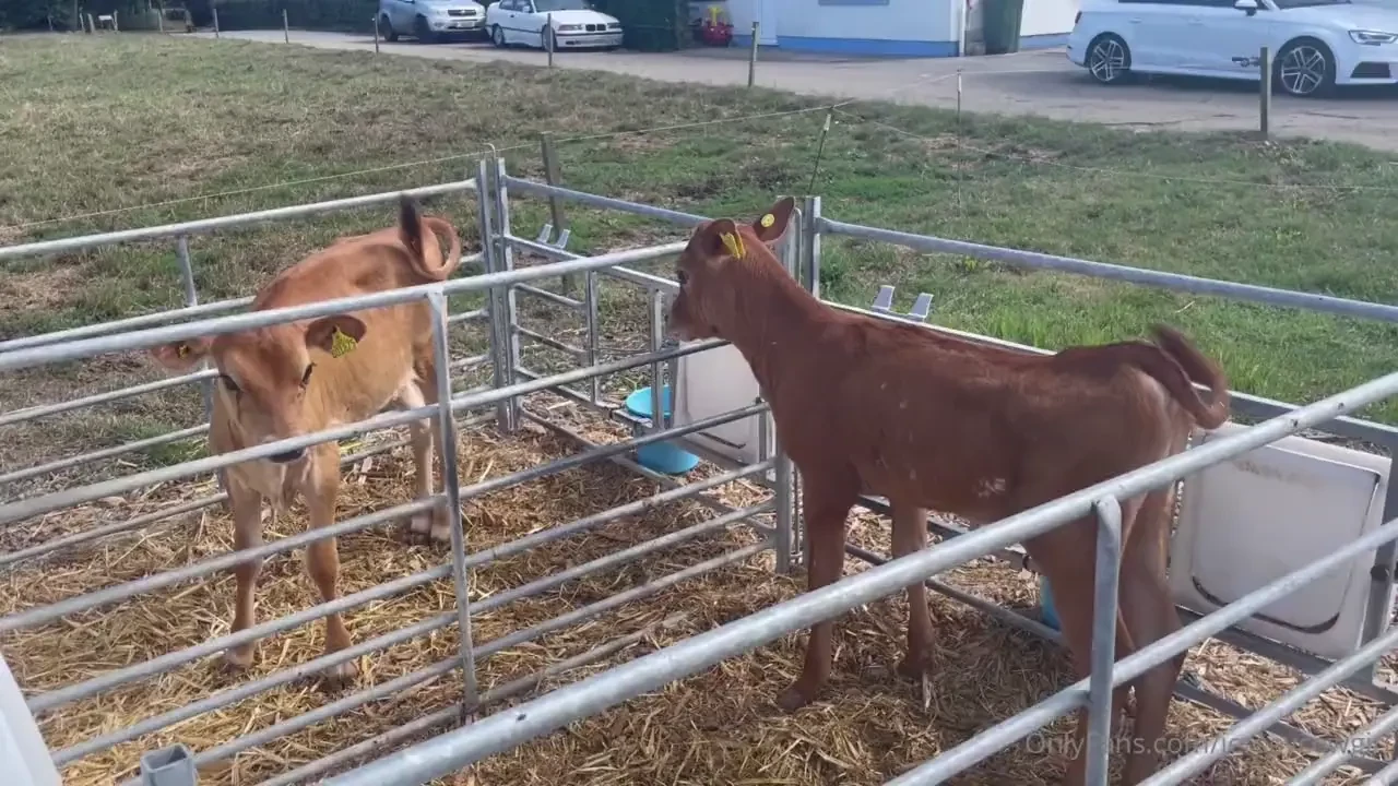 These two are too cute together 