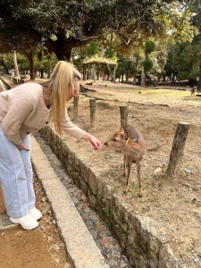 I made a little friend