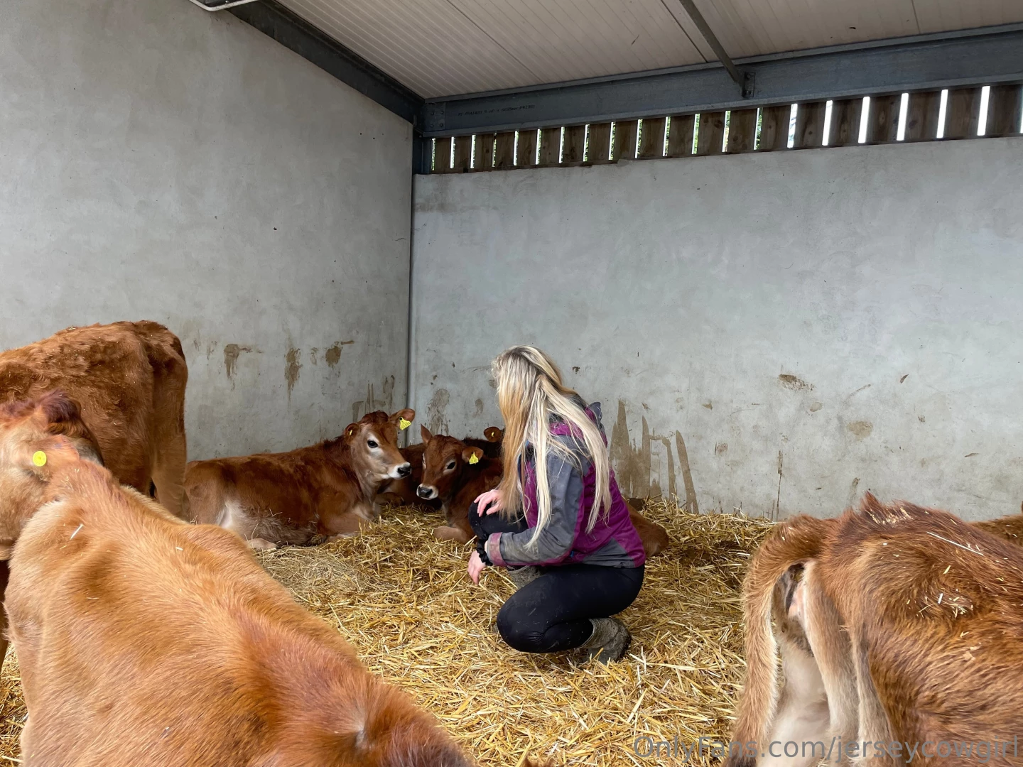 I could just stare at them all day 