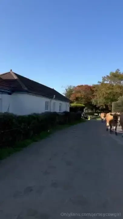 It s a race to the parlor 