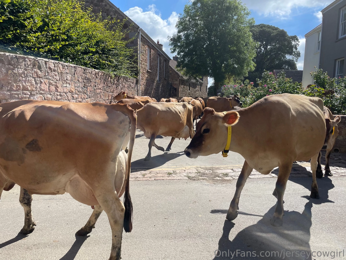 It has been a bright but chilly one today part 1 