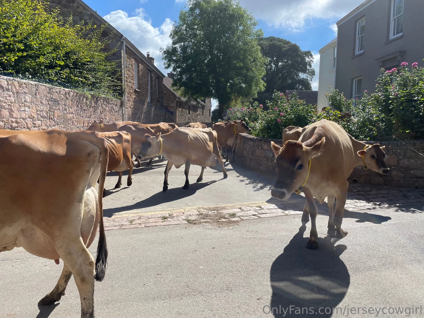 It has been a bright but chilly one today 