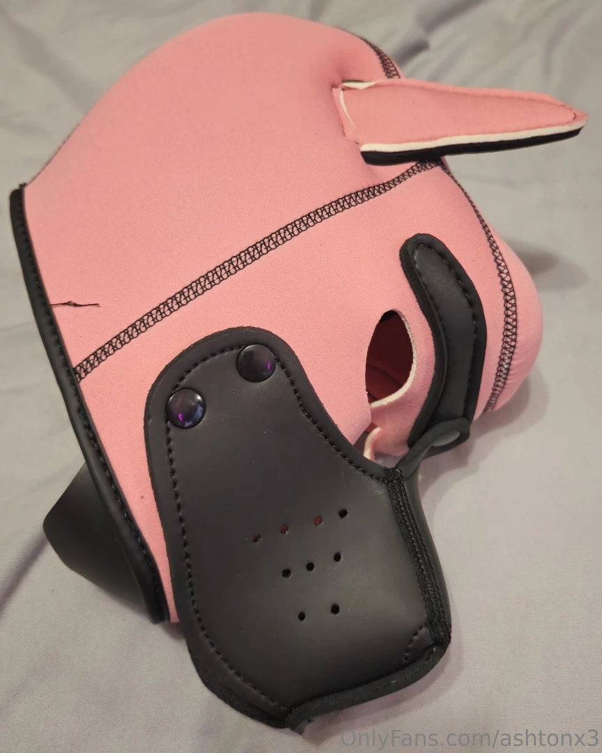 Can i be your puppy part 2 