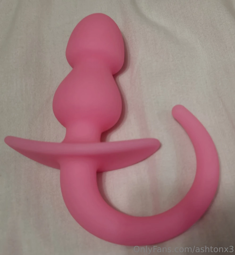 My pink tail plug isn t it adorable 