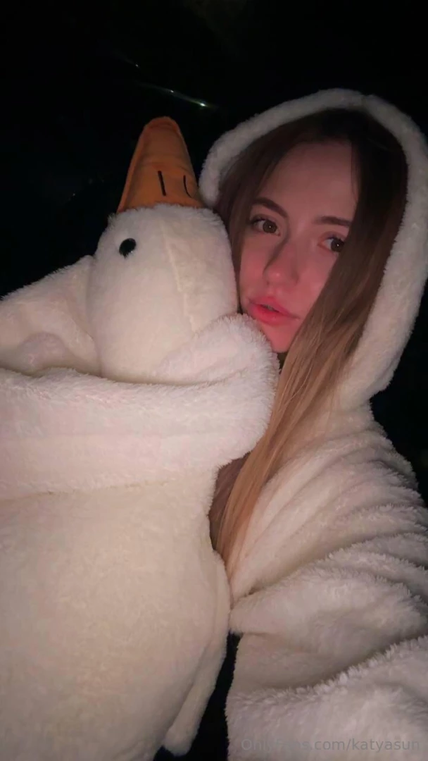 And only a goose can understand my thoughts 