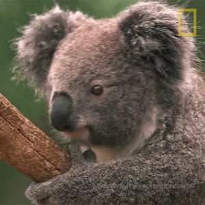 I was tempted to touch myself and snooze but i m trying to conserve my