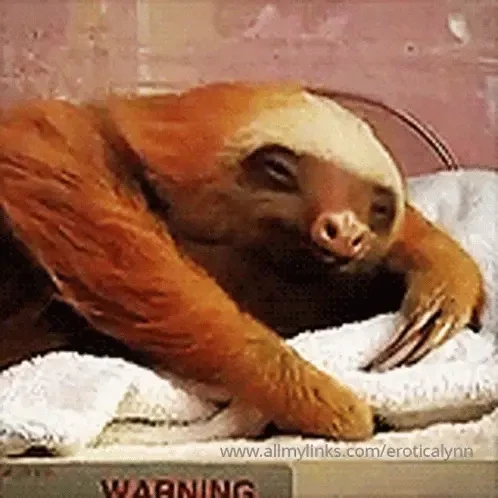 I ve been in sleepy sloth mode gonna attempt a chill little live cam 