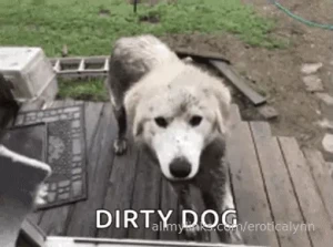 I m getting on cam way later than i had anticipated because my furry