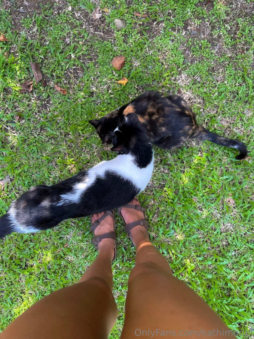 My garden with amapolas there s something special about connecting part 2 