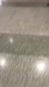 Sleep deprived asfff but i found a dinosaur lmao part 2