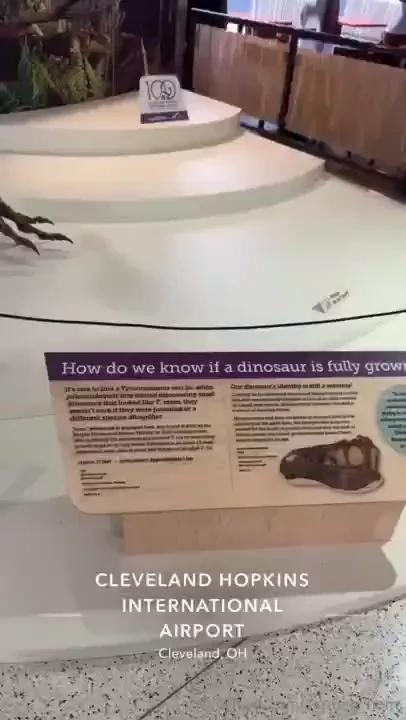 Sleep deprived asfff but i found a dinosaur lmao part 3 