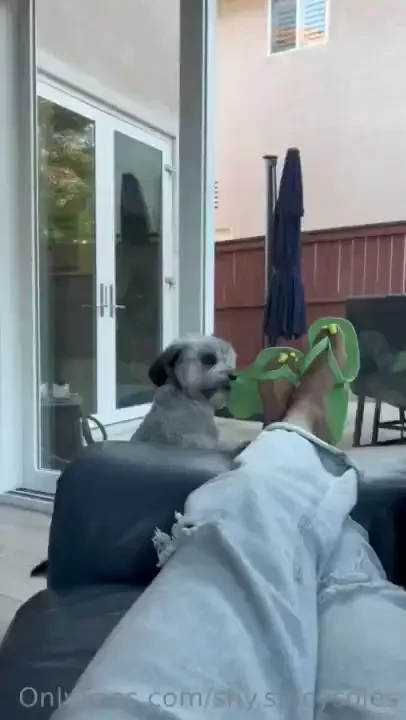 Someone come get him 