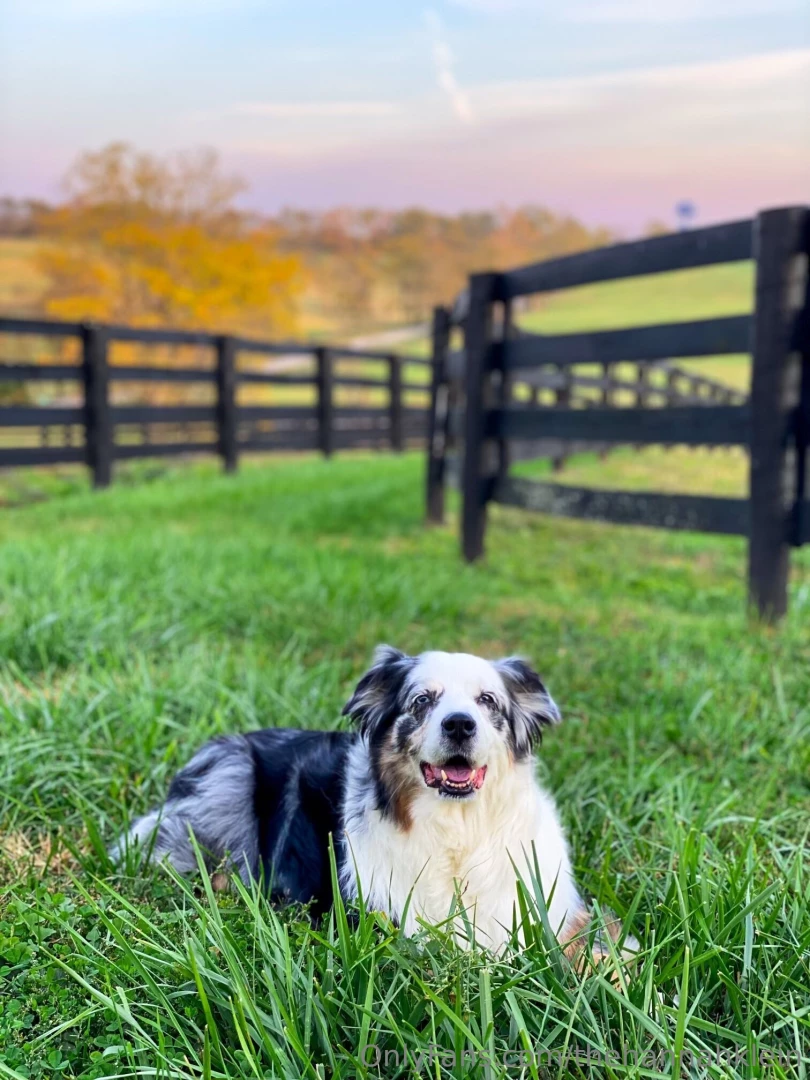 Rip my beautiful angel 