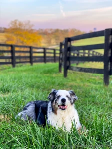 Rip my beautiful angel