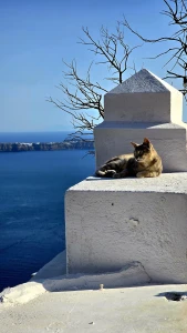 My day in santorini part 3