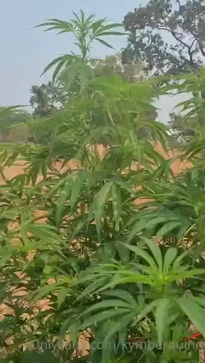 I looove my garden keeps this smile on my face 